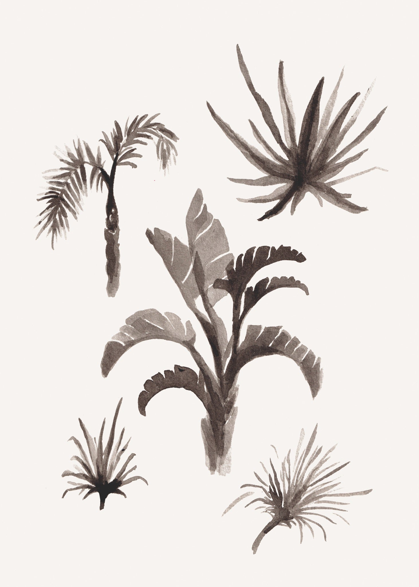 687a236960f46d5a98dff52b_hotel-plants-2-a5-_1764600127643.jpg