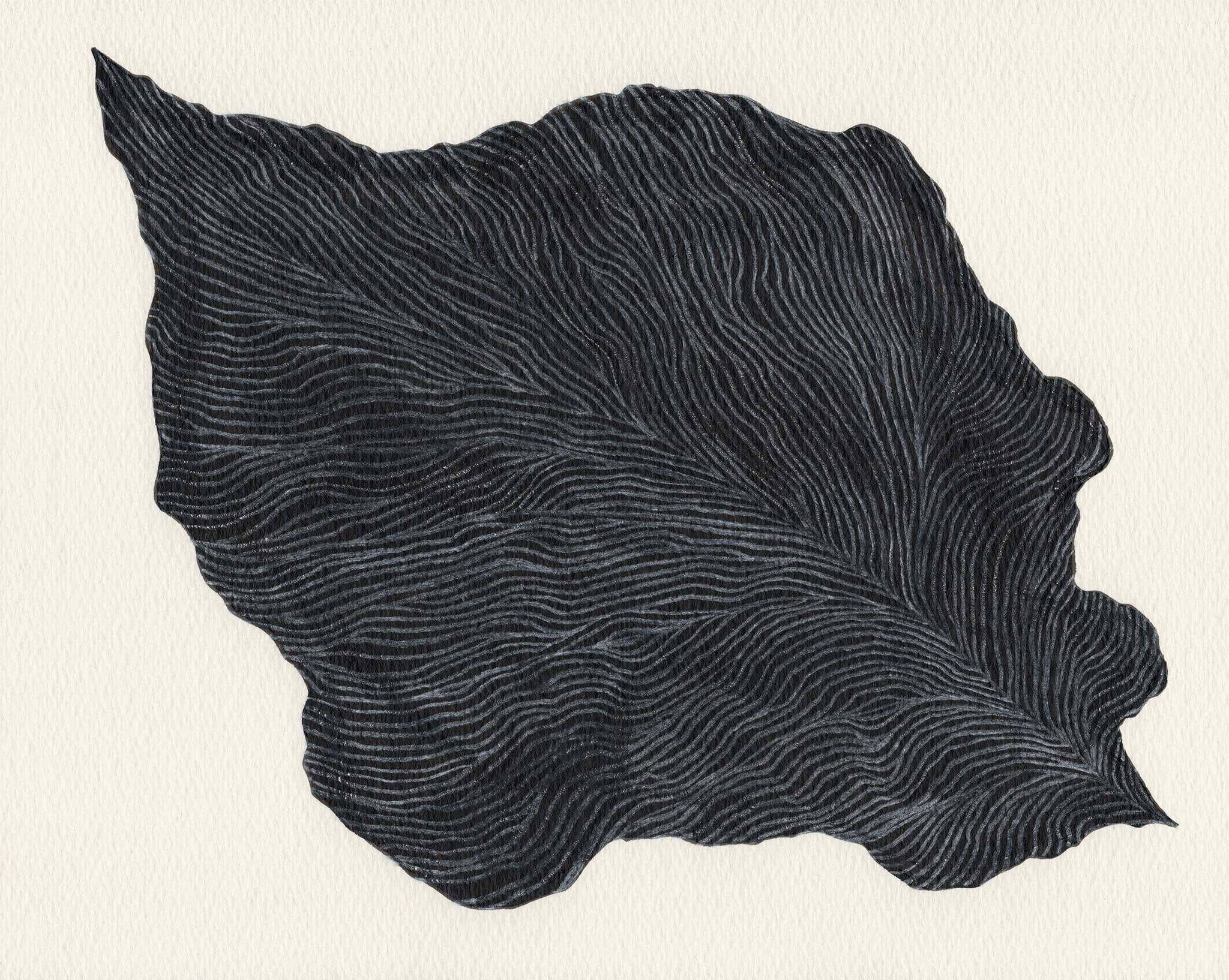 687a236960f46d5a98dff52b_leaf_1763996324226.jpg