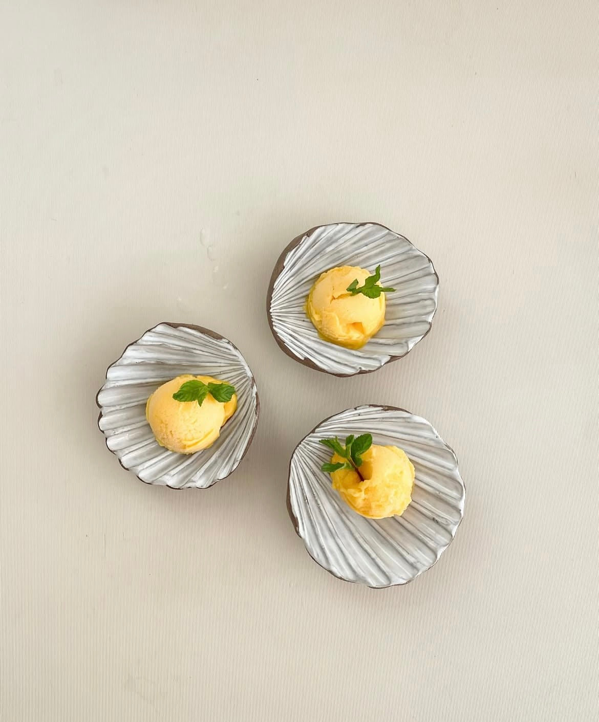 Shell Bowl