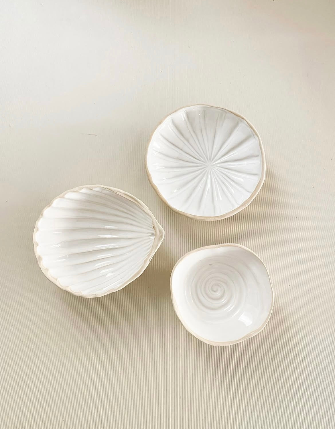Shell Bowl