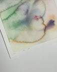 Flora 5