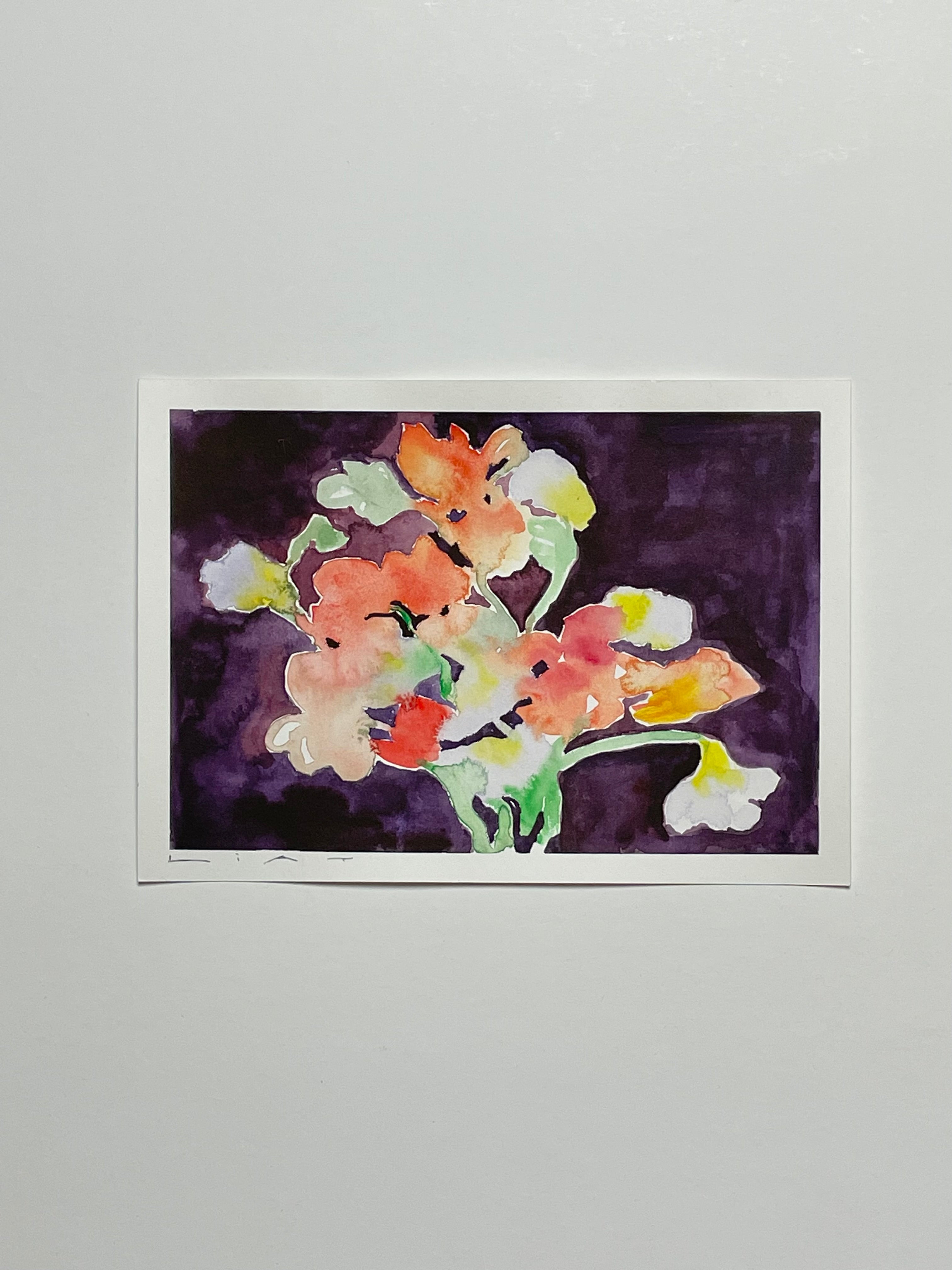 Flora 7