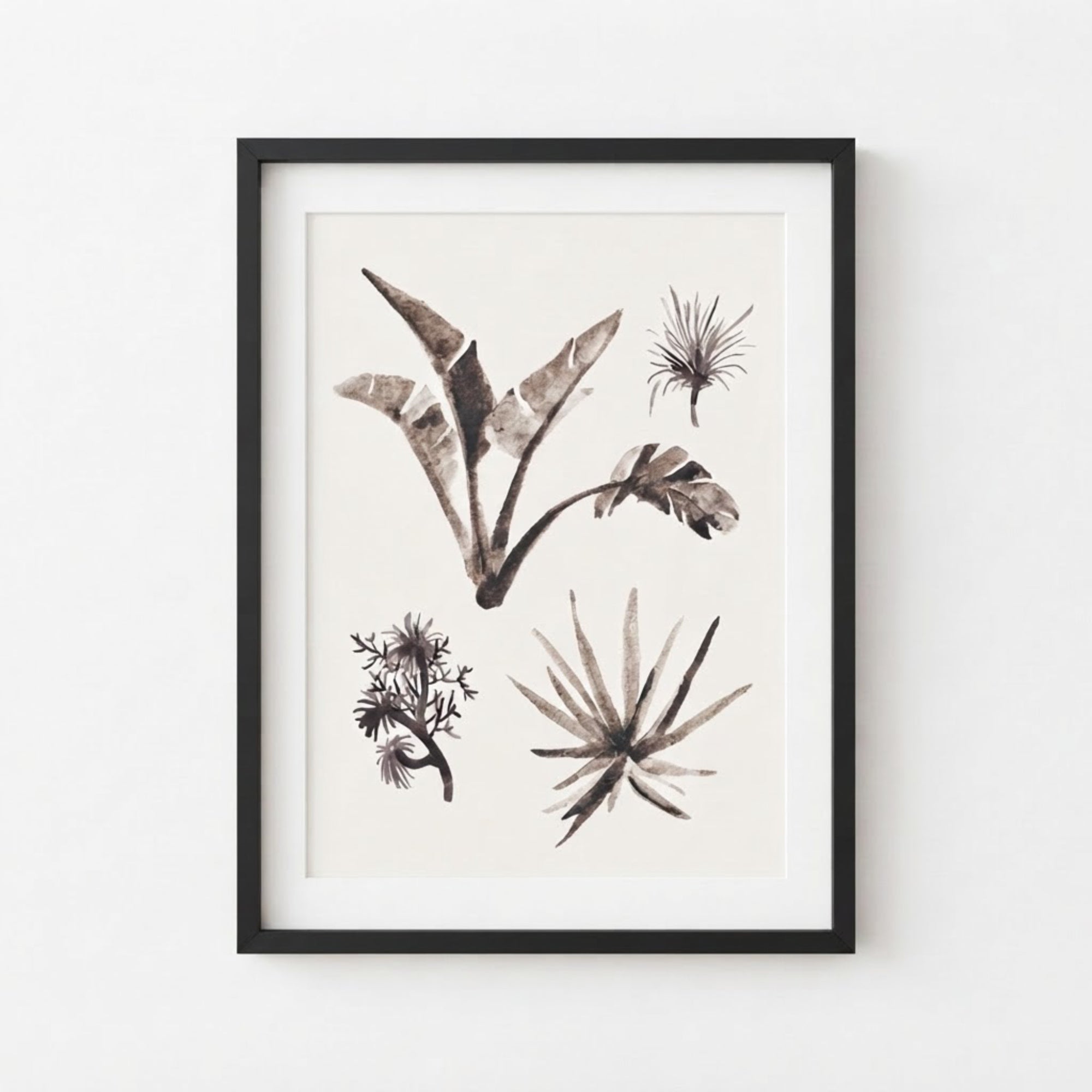 Tropical Plants Study I