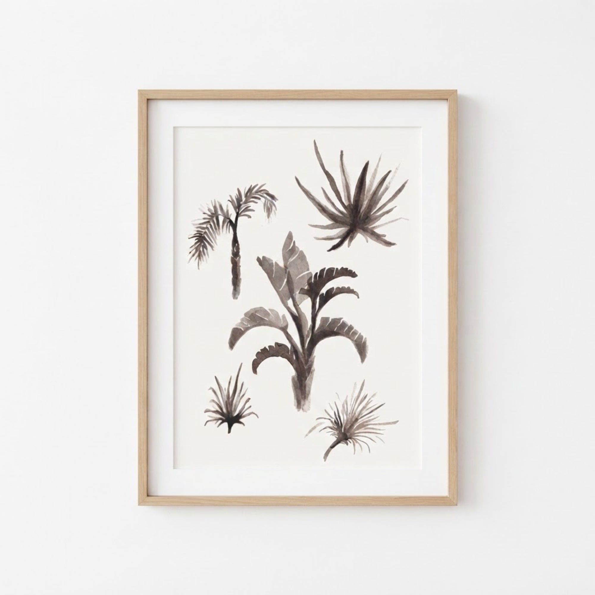 Tropical Plants Study II
