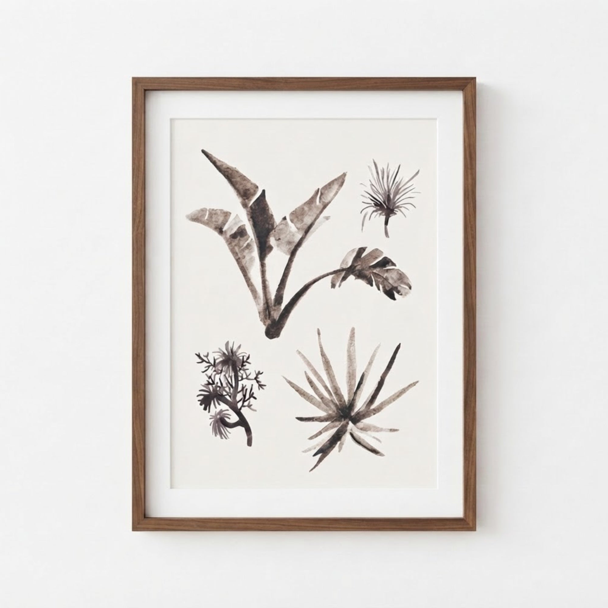 Tropical Plants Study I