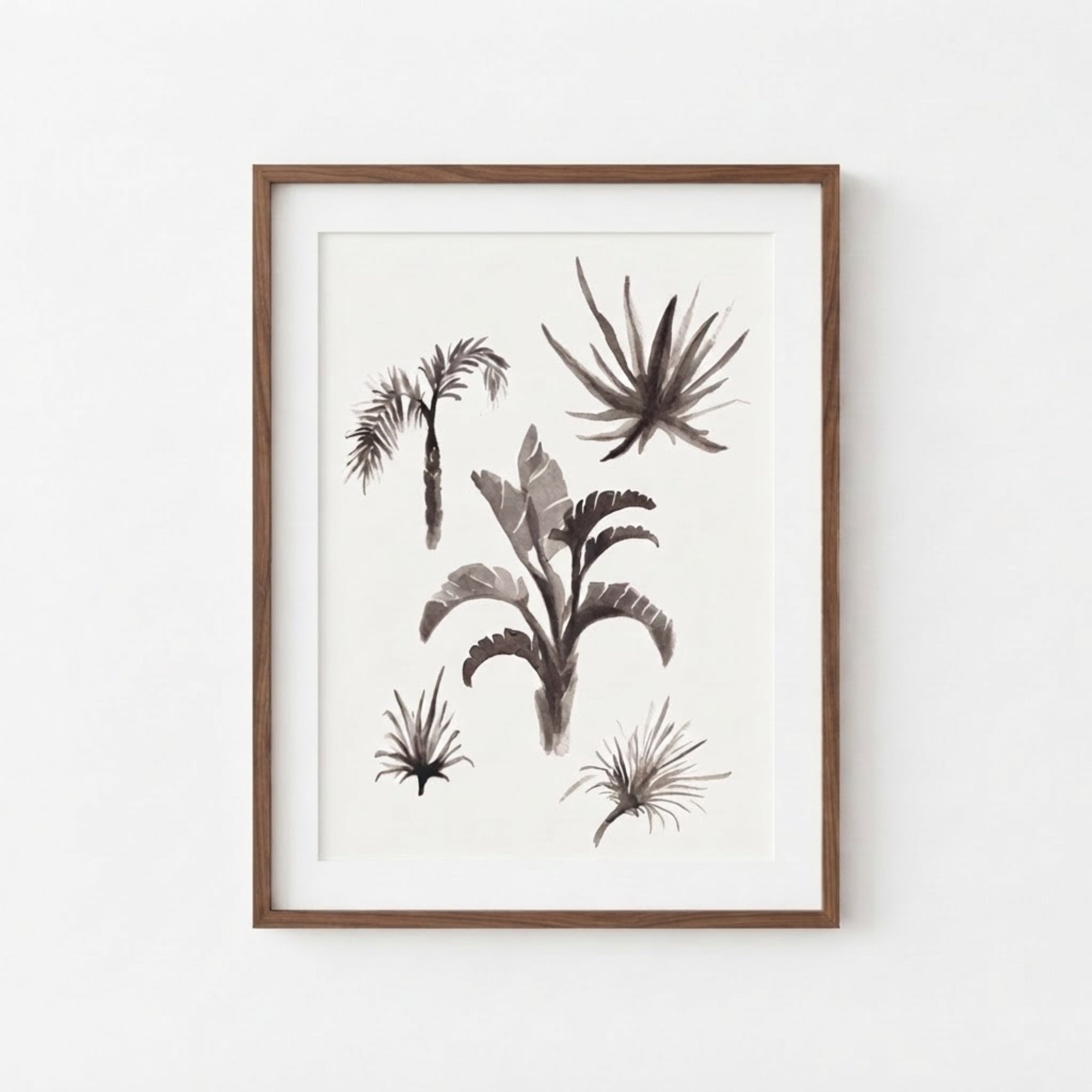 Tropical Plants Study II