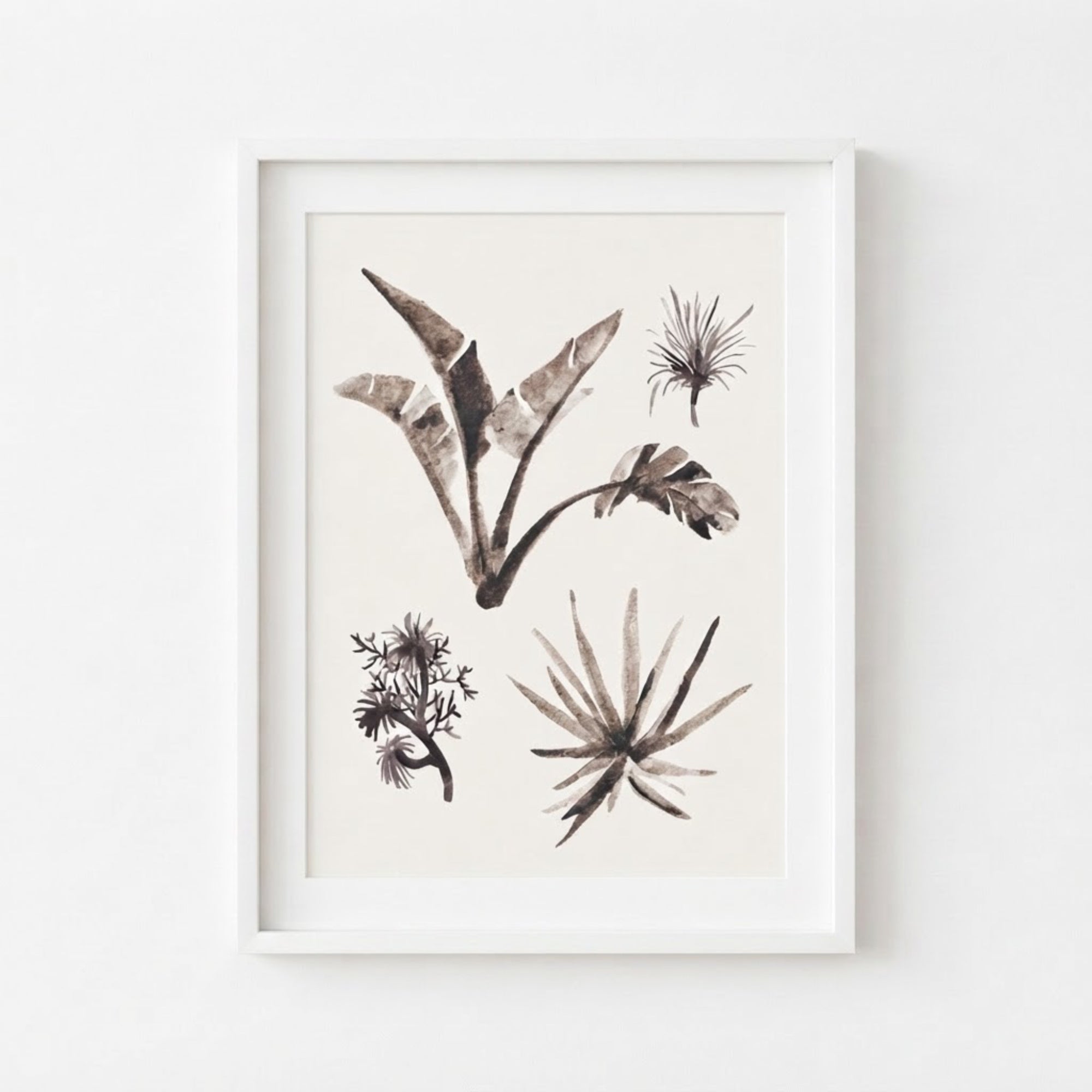 Tropical Plants Study I