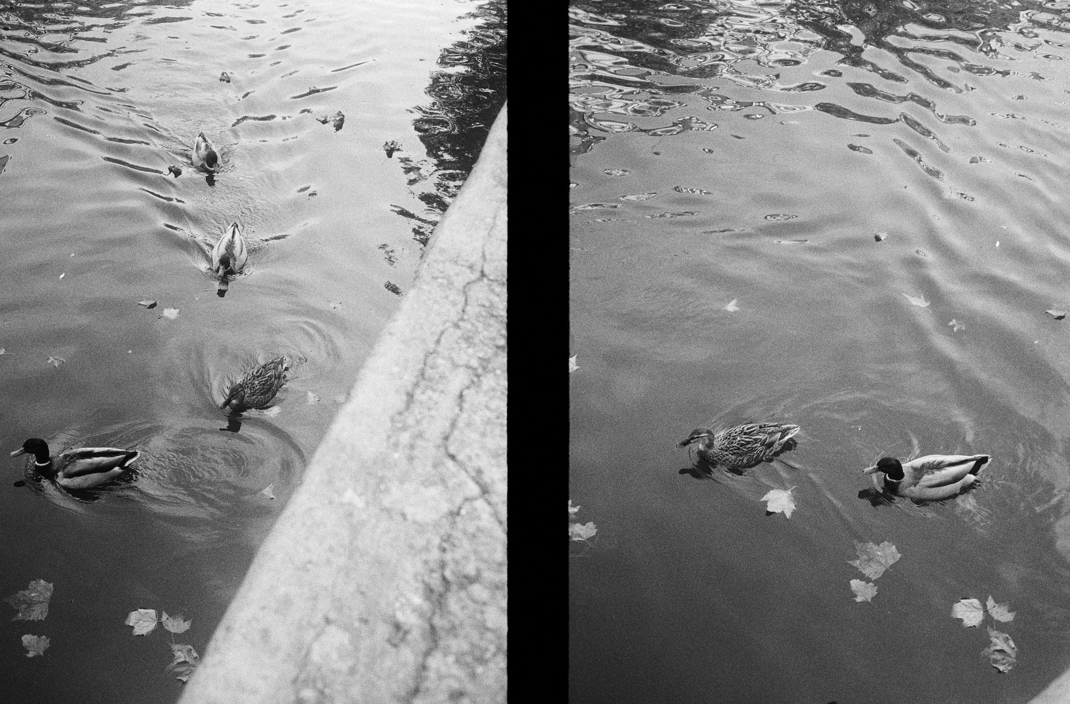 Deux 4 - Paris, in Black & White