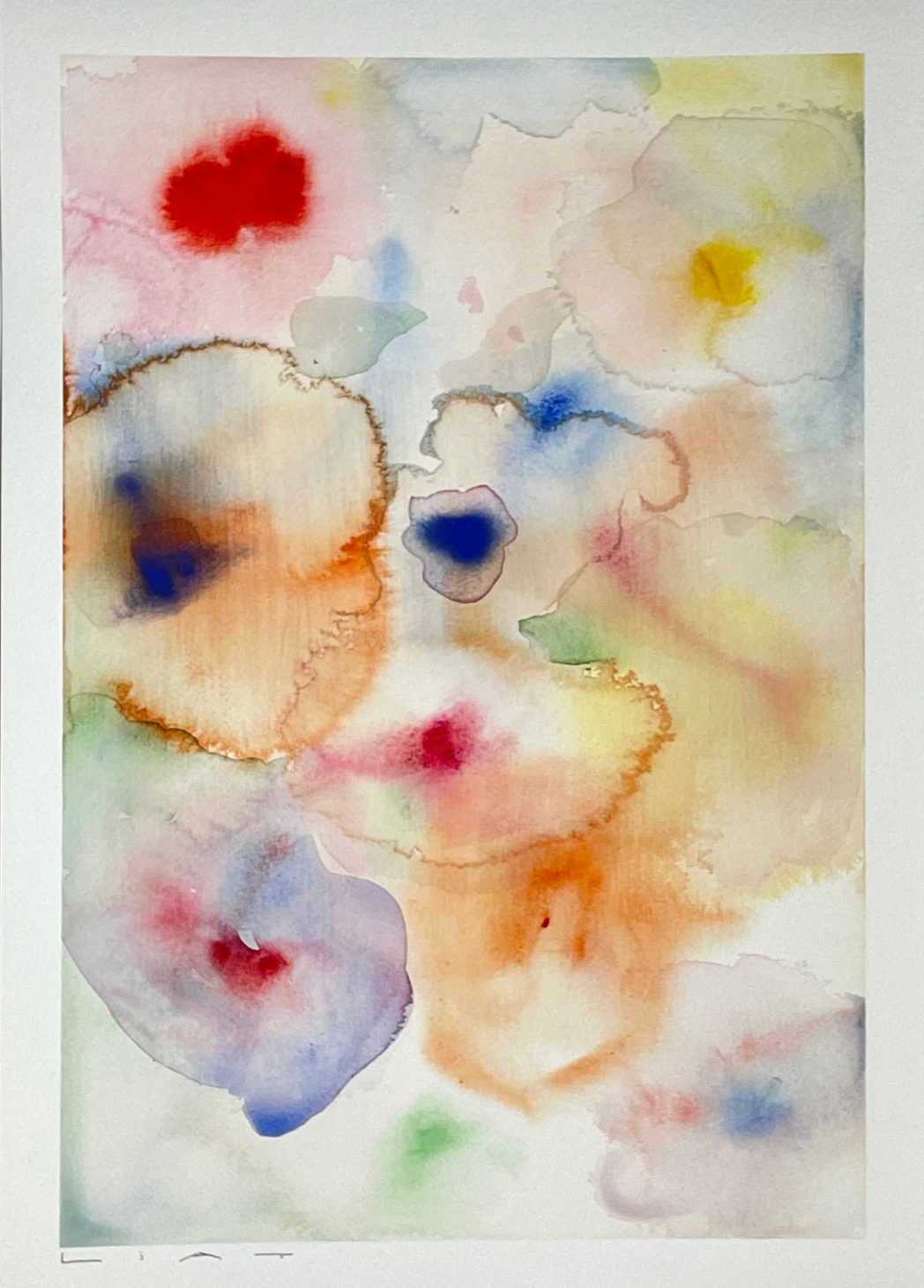 Flora 4