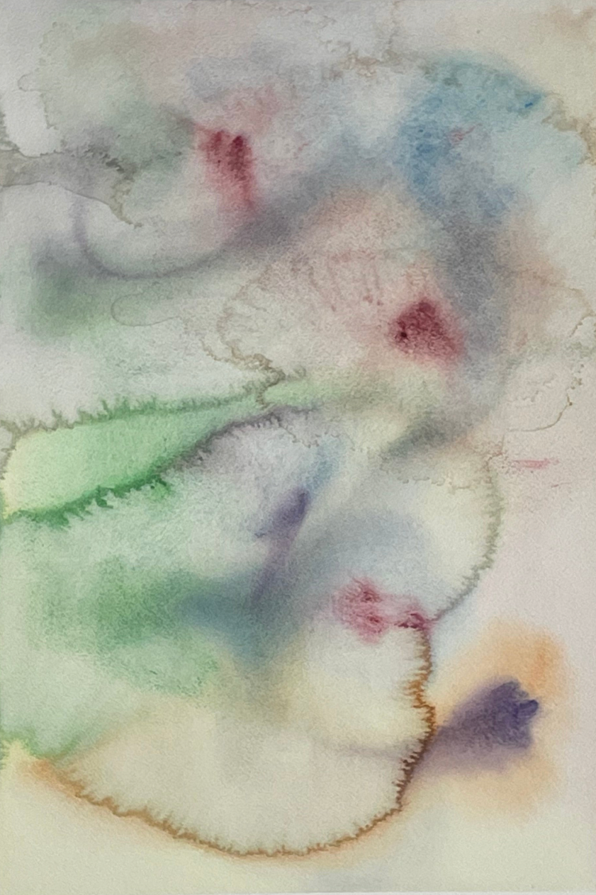 Flora 5