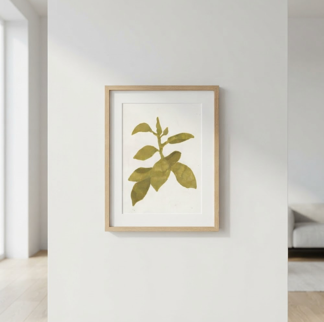 Rubber Plant