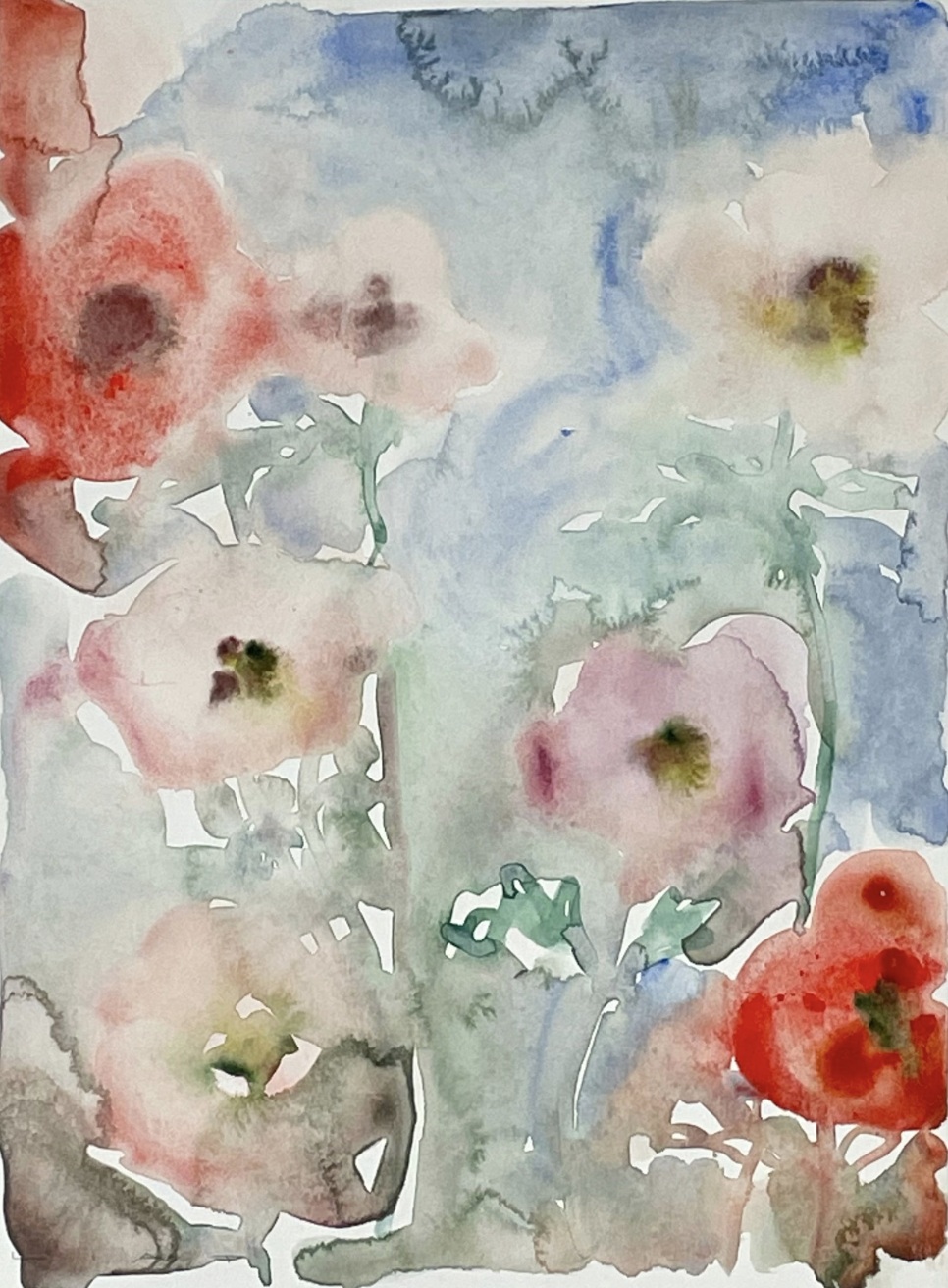Flora 2