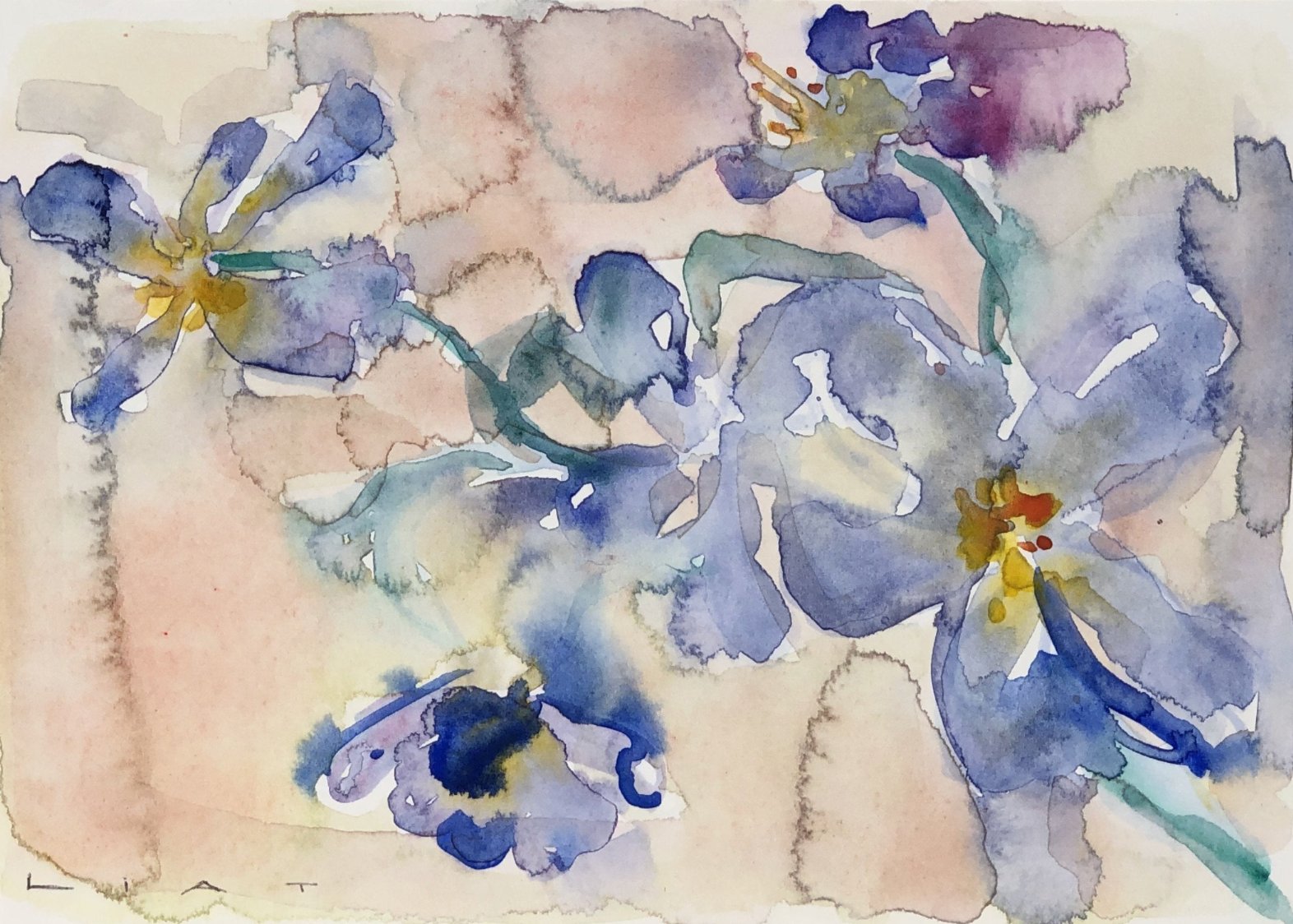 Purple Flowers