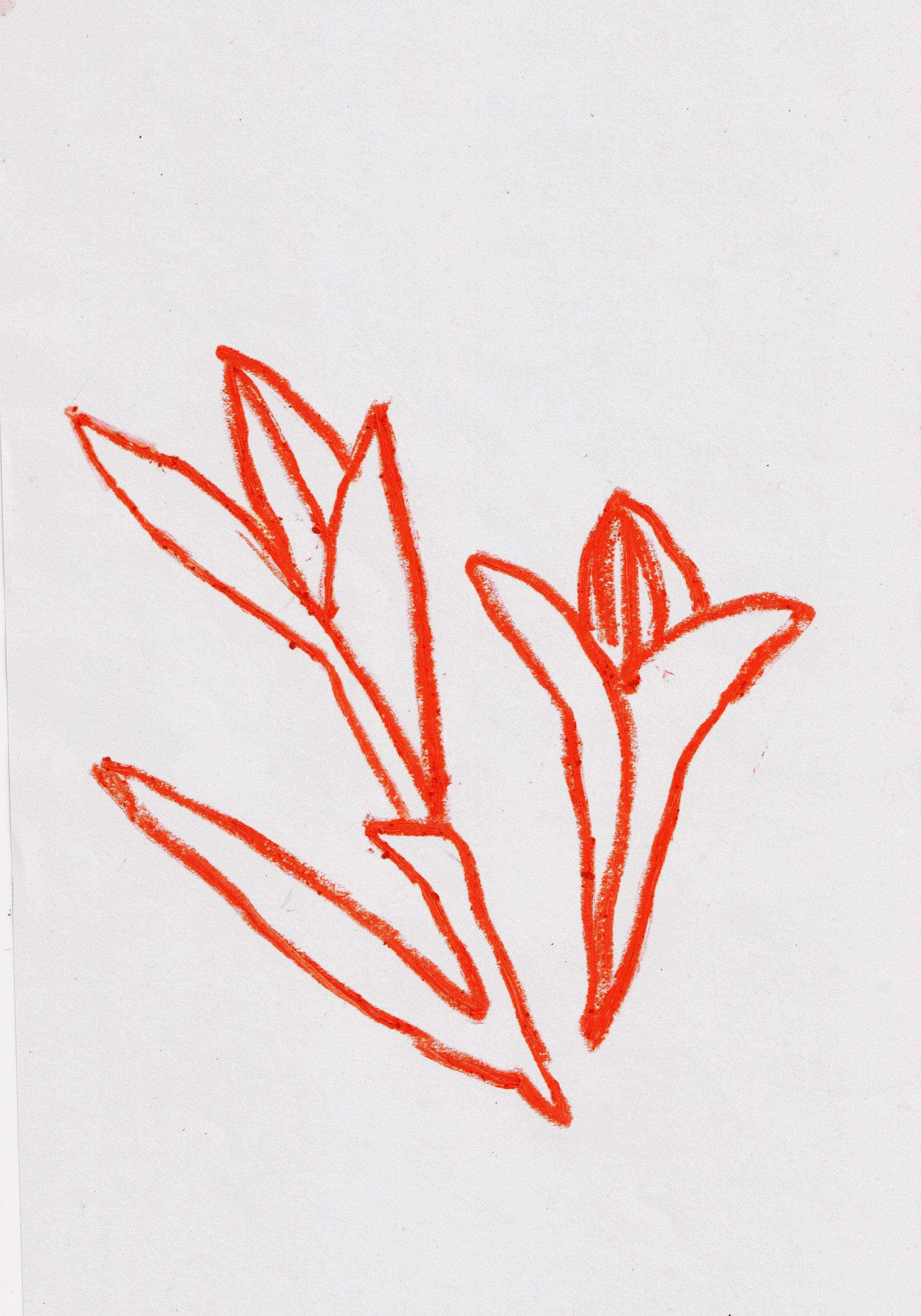 Red Flowers