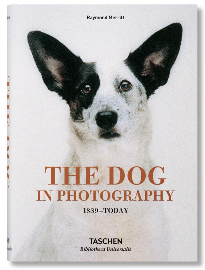 The Dog in Photography | 1839–Today