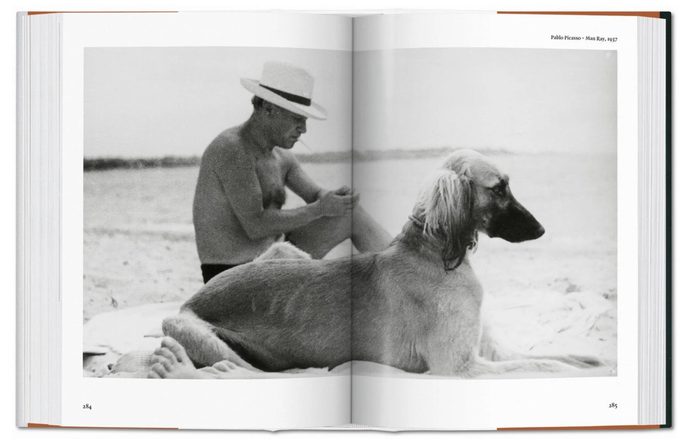 The Dog in Photography | 1839–Today
