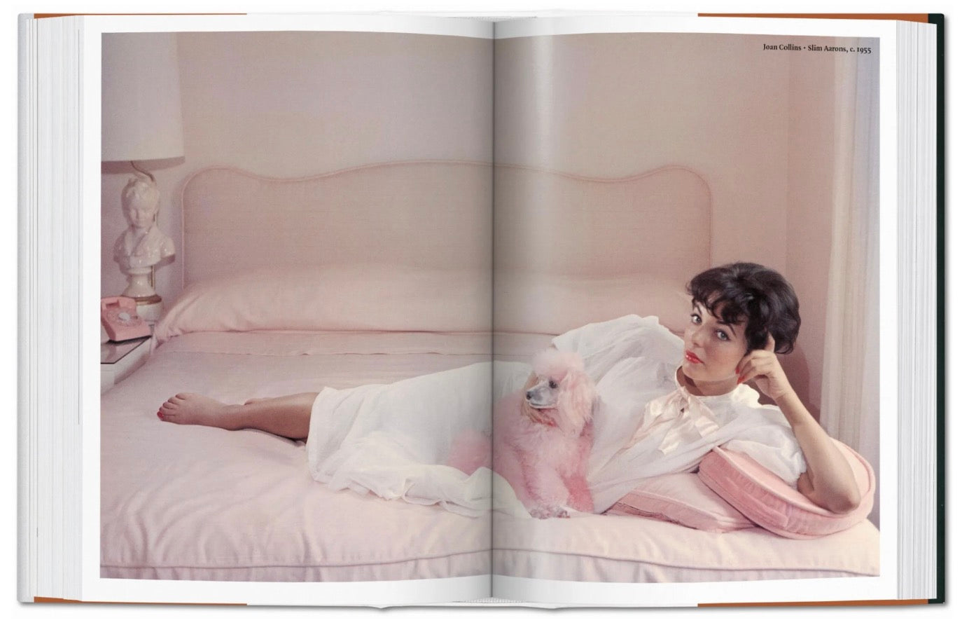 The Dog in Photography | 1839–Today