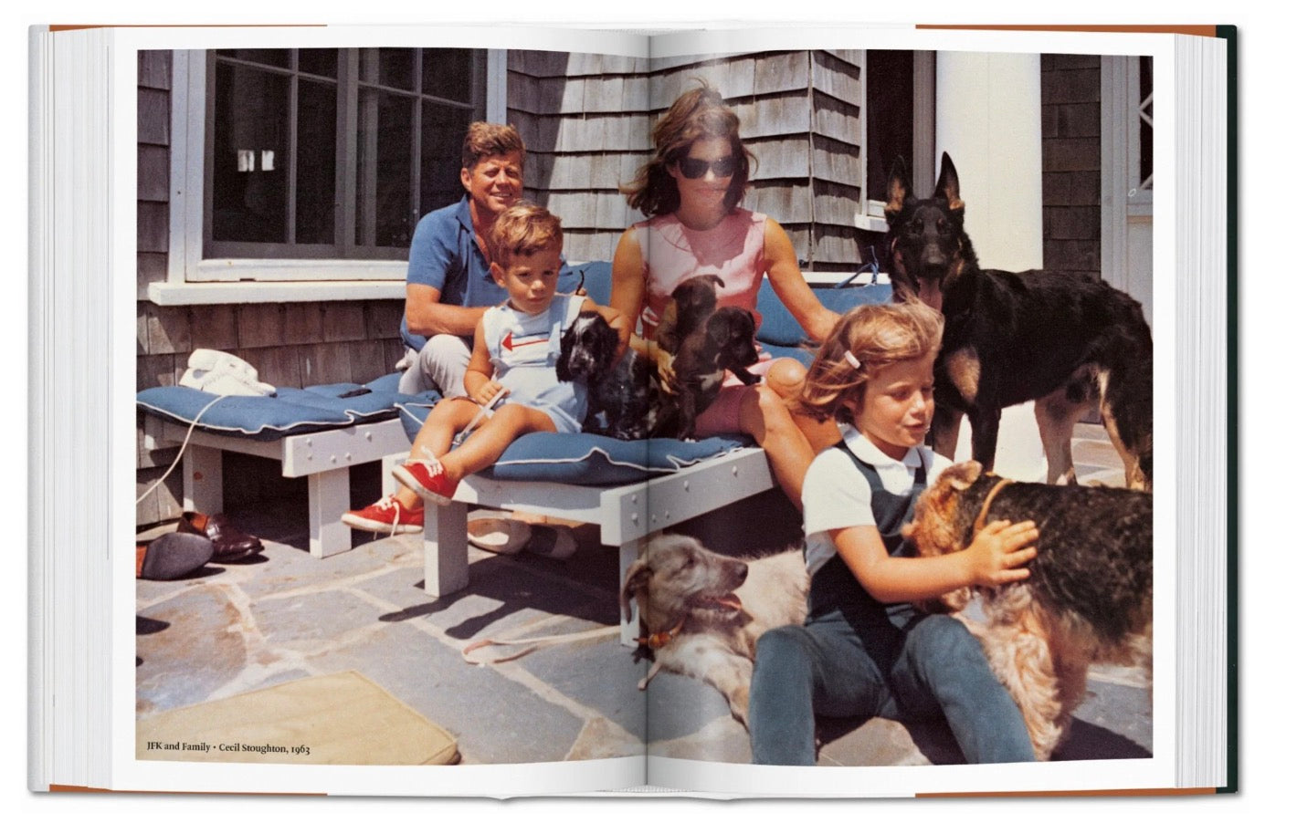 The Dog in Photography | 1839–Today
