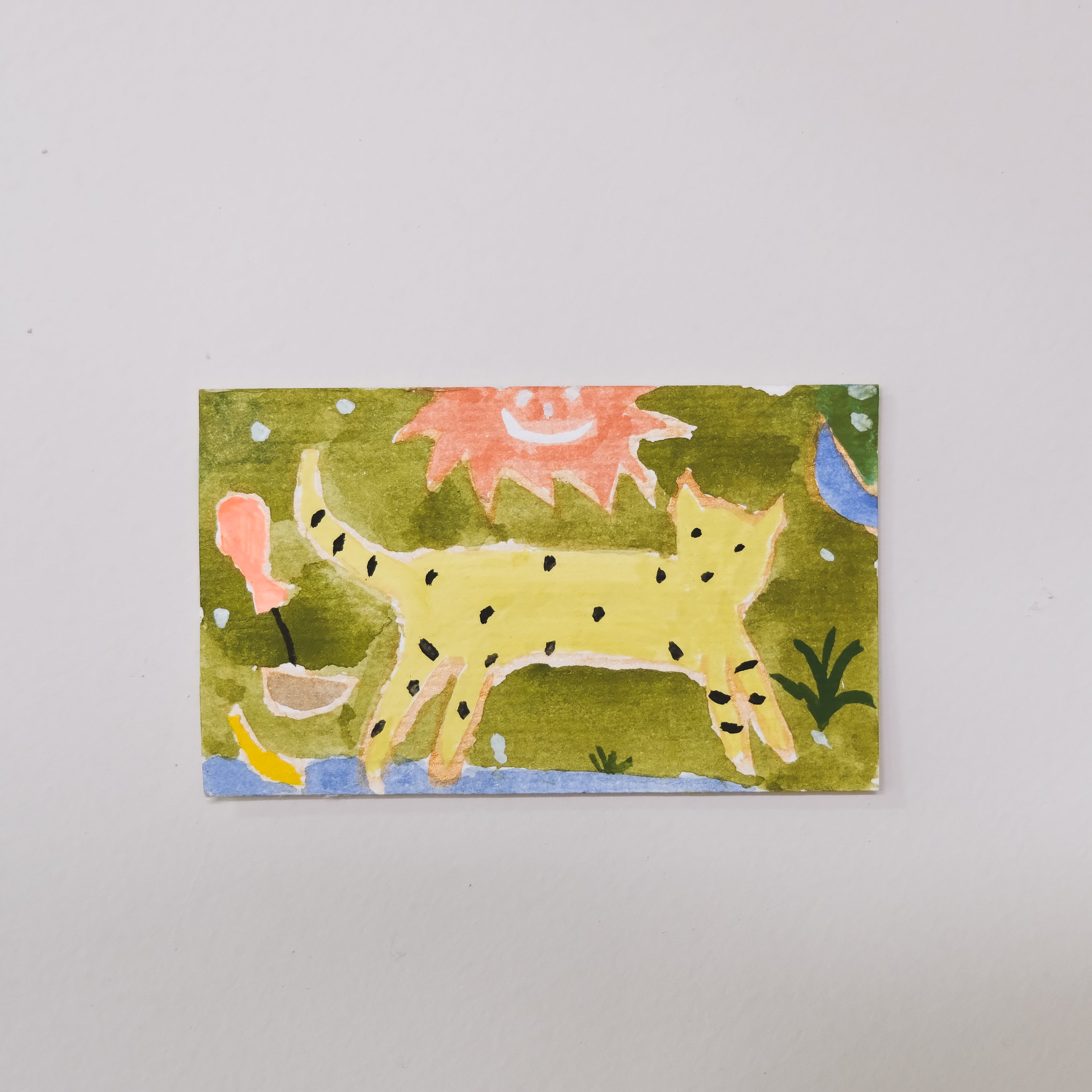 Small Tiger