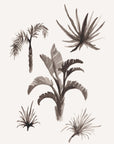 687a236960f46d5a98dff52b_hotel-plants-2-a5-_1764600127643.jpg