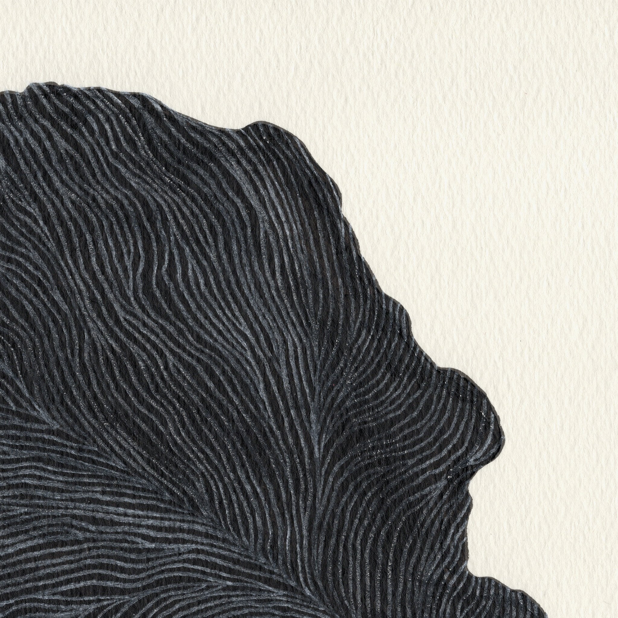 687a236960f46d5a98dff52b_leaf1_1763996324227.jpg