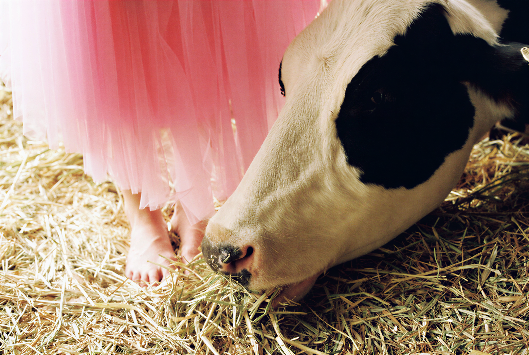 687a236960f46d5a98dff52b_modern-farm_1775302297446.png