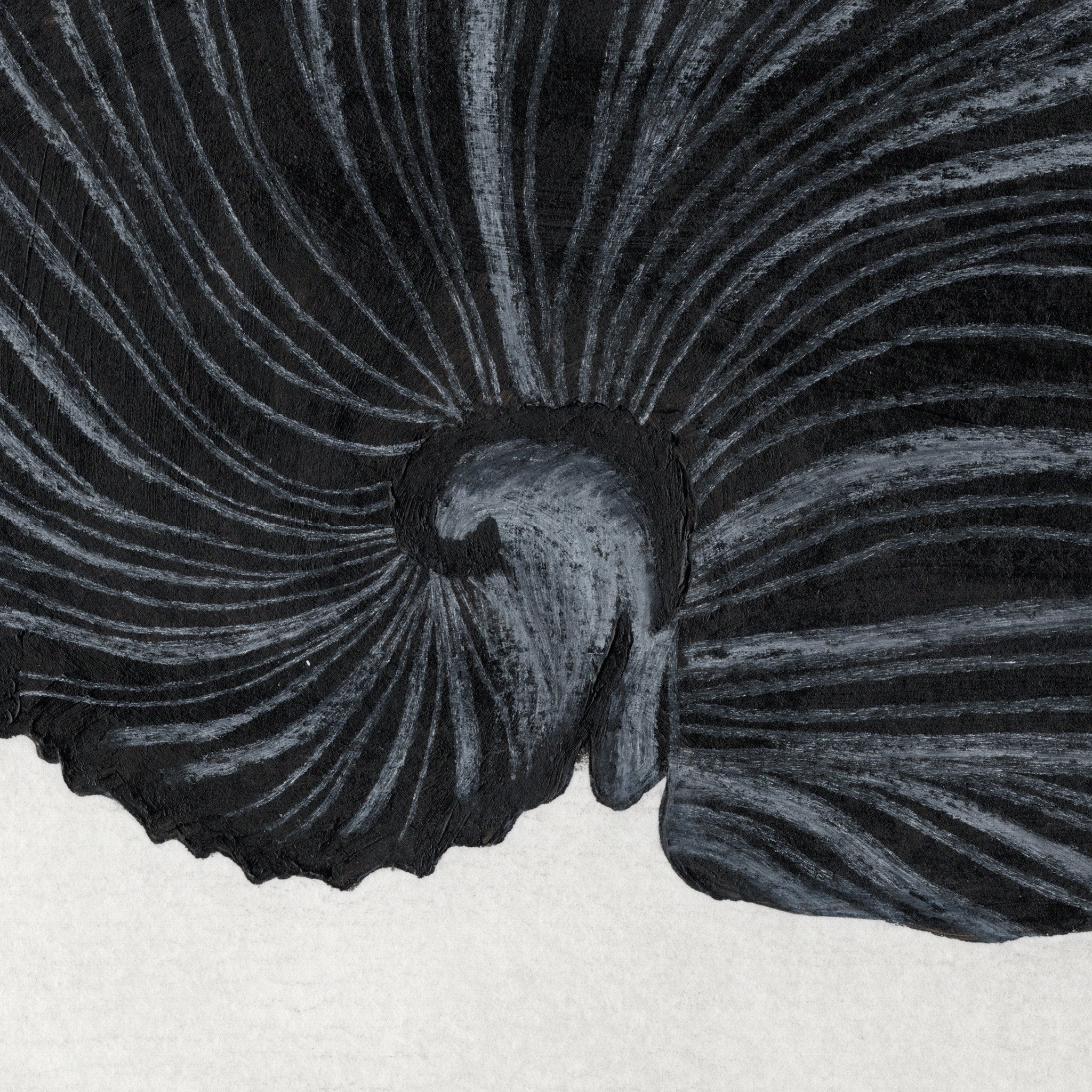 687a236960f46d5a98dff52b_spiral2_1763998472964.jpg