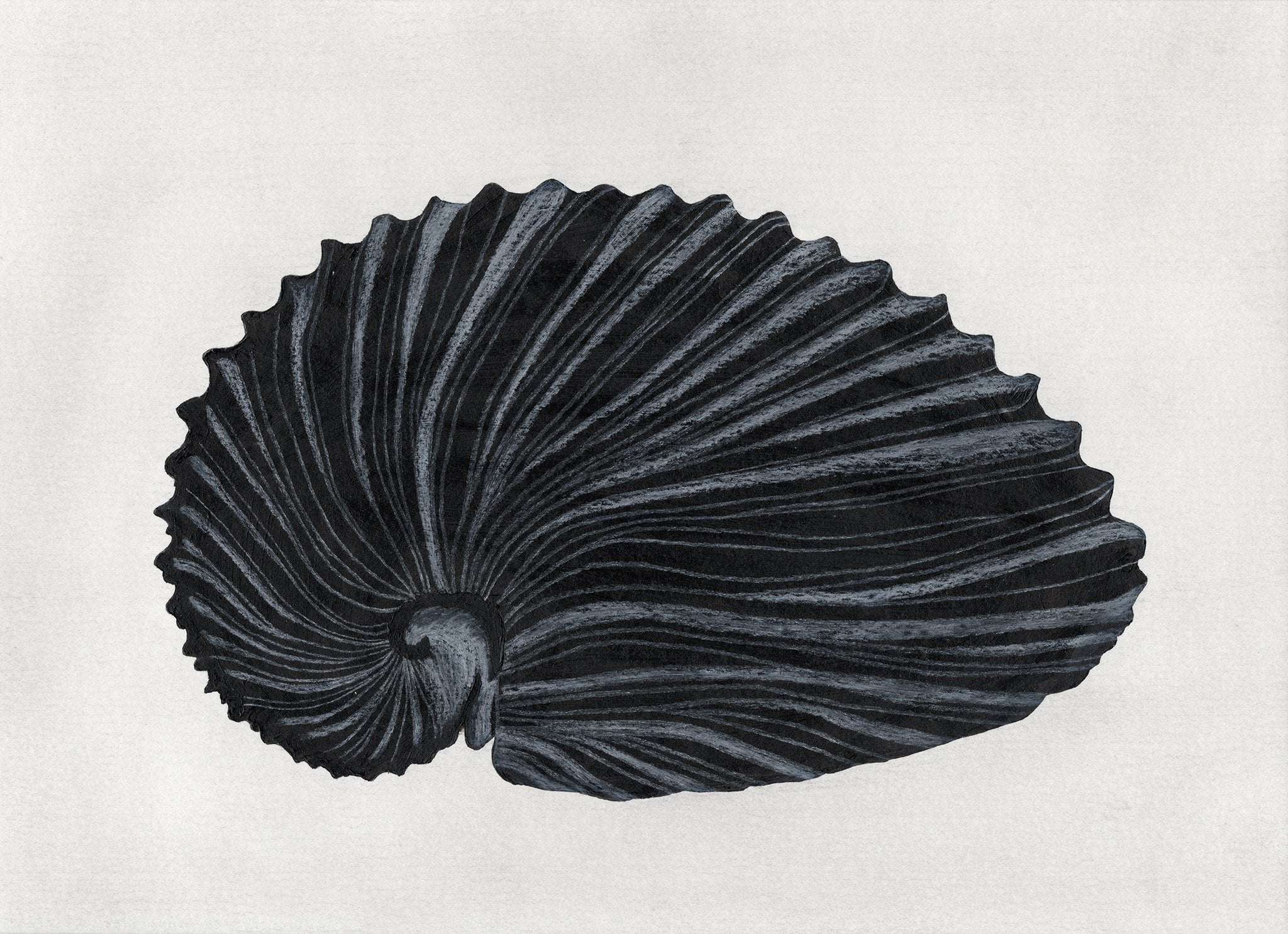 687a236960f46d5a98dff52b_spiral_1763998472963.jpg