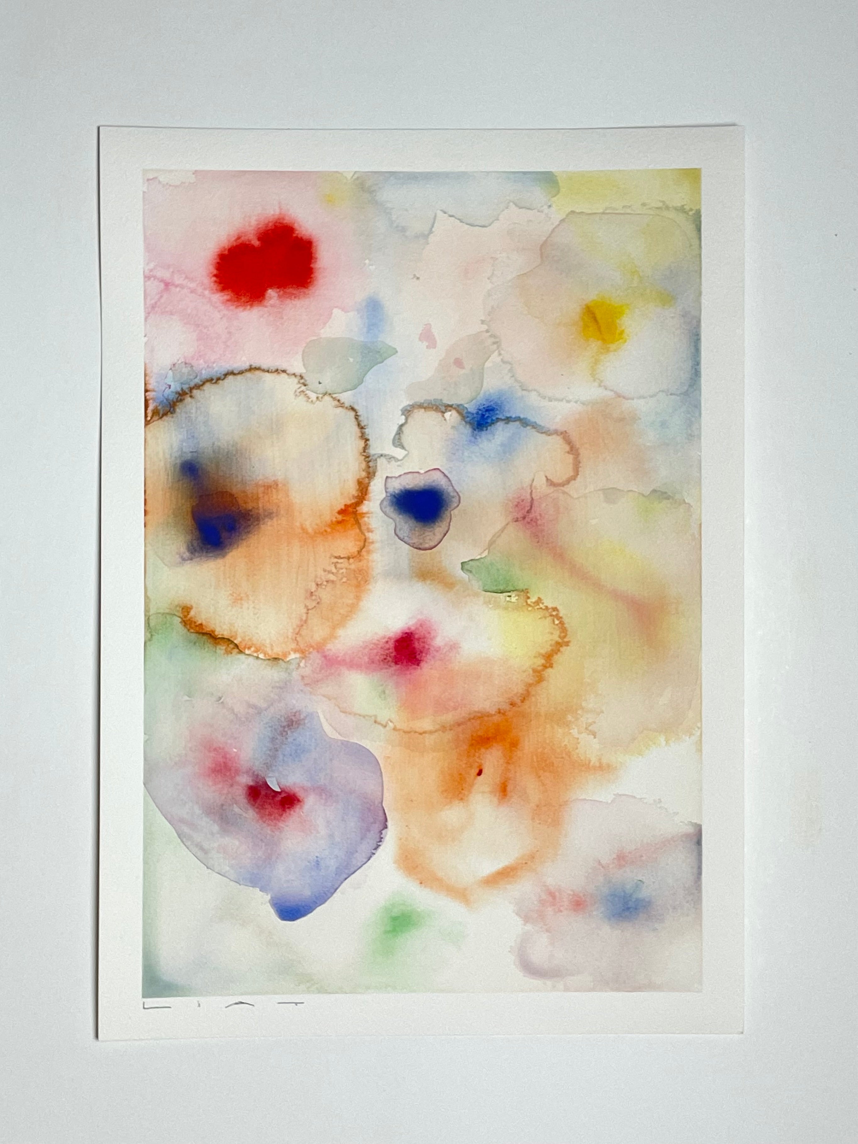 Flora 4