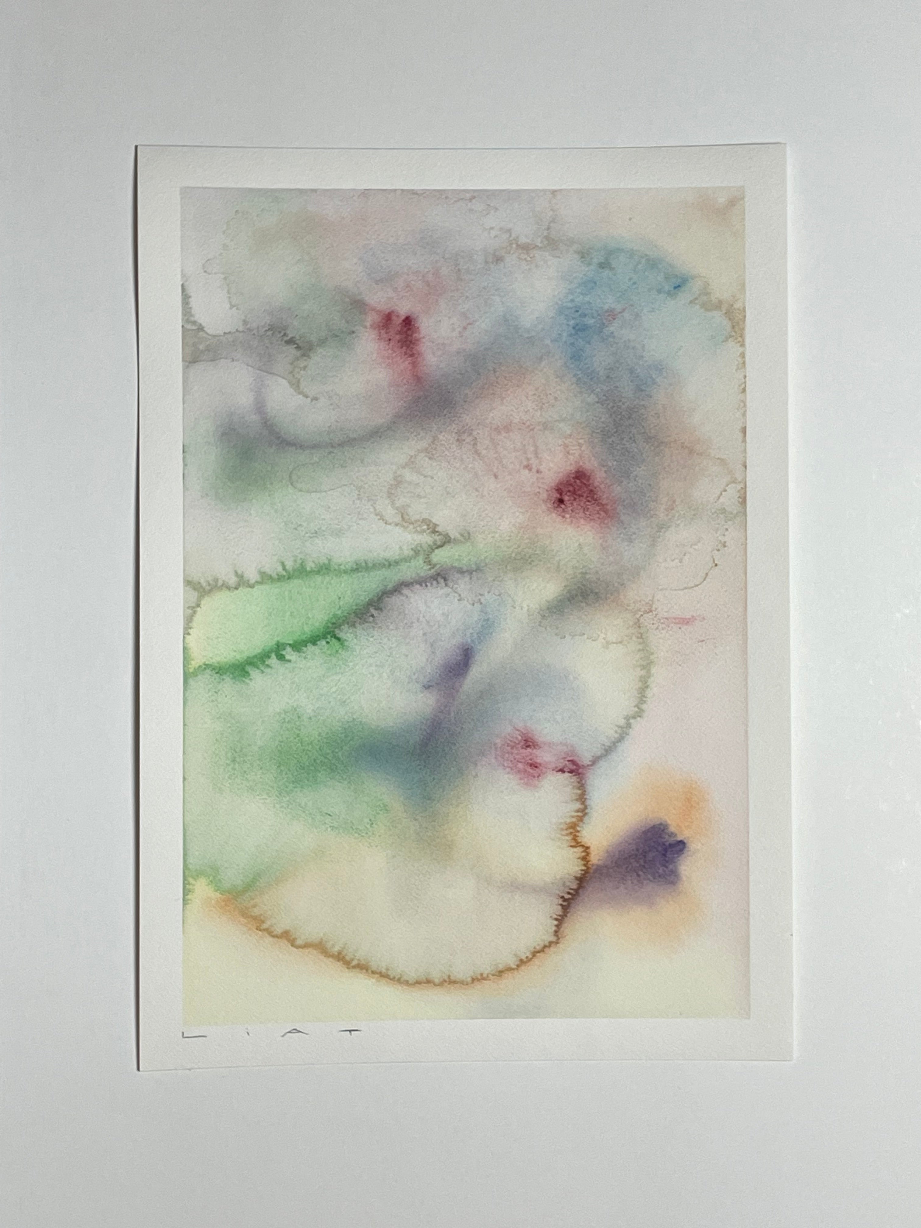 Flora 5