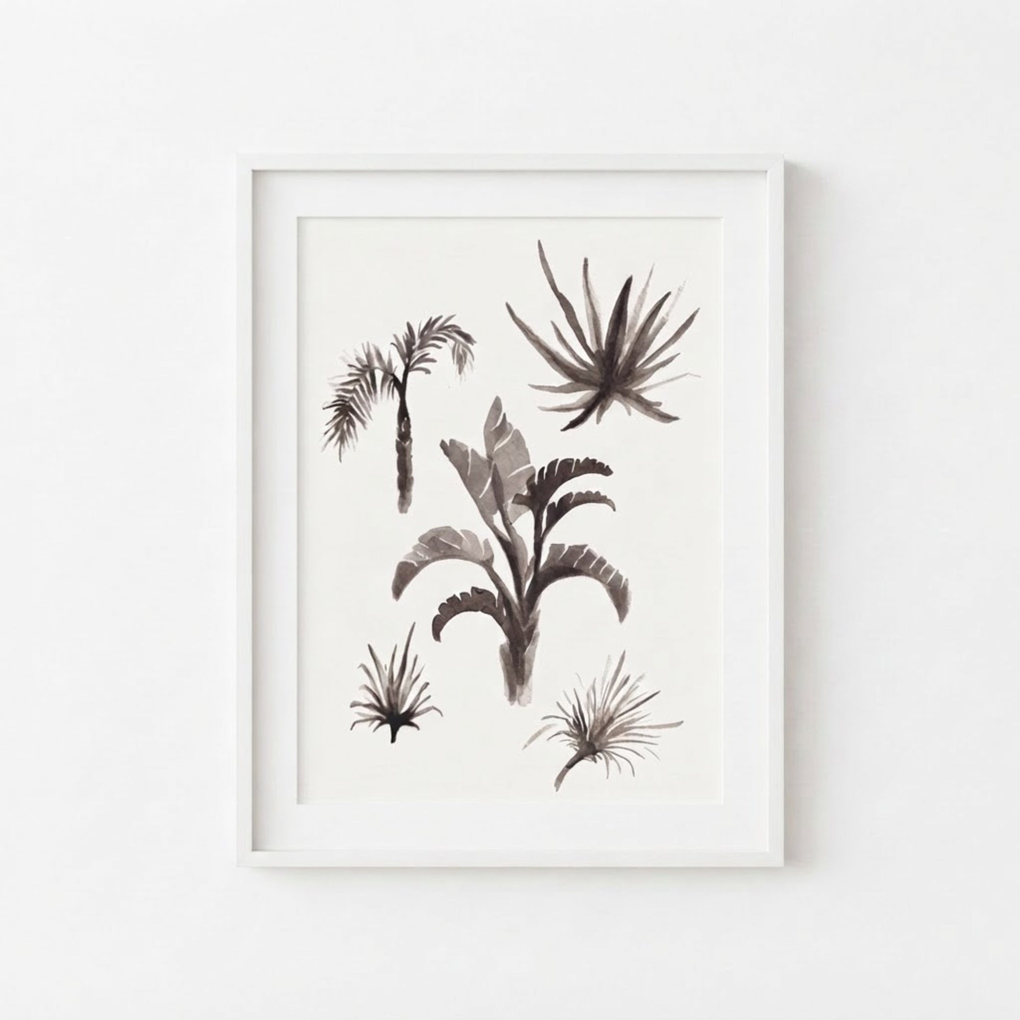 Tropical Plants Study II
