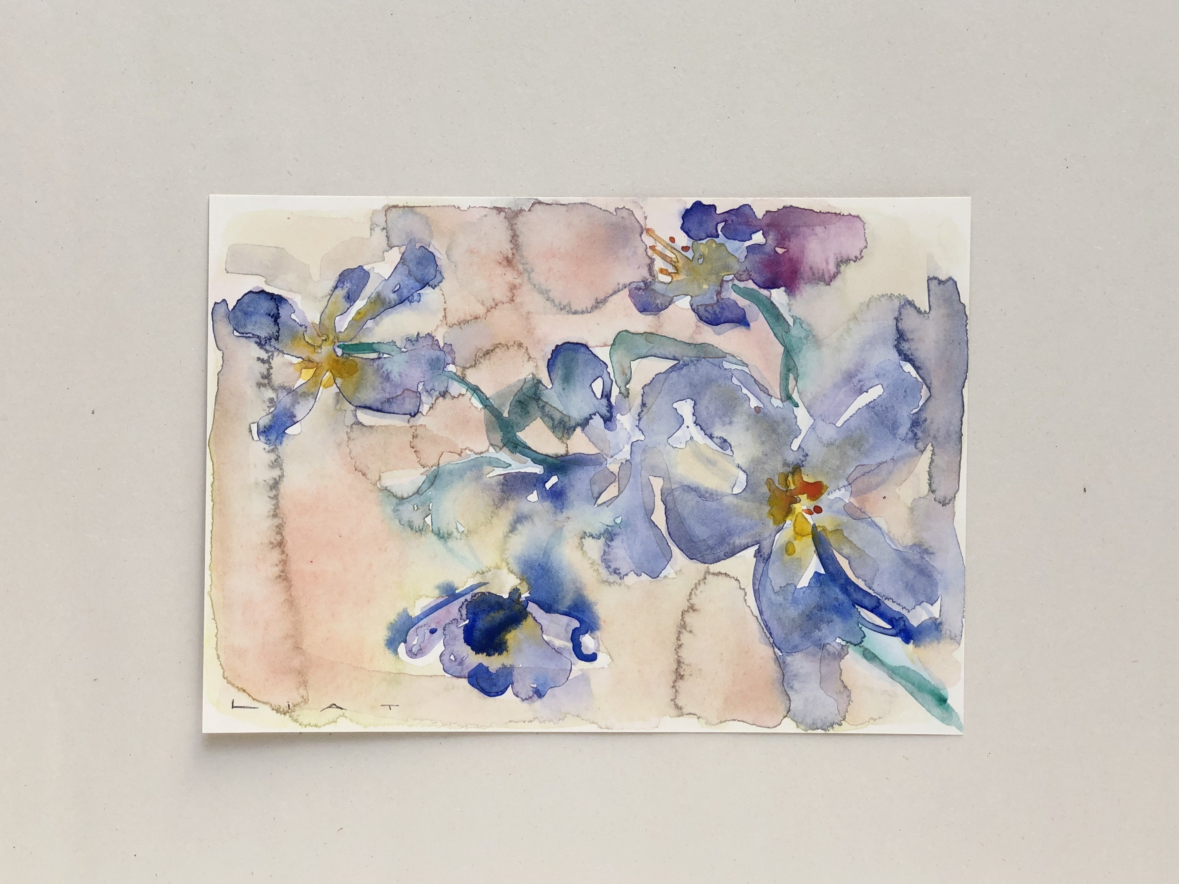 Purple Flowers