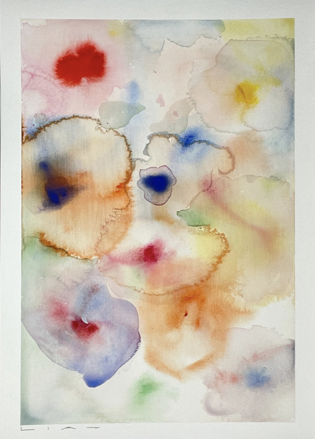 Flora 4
