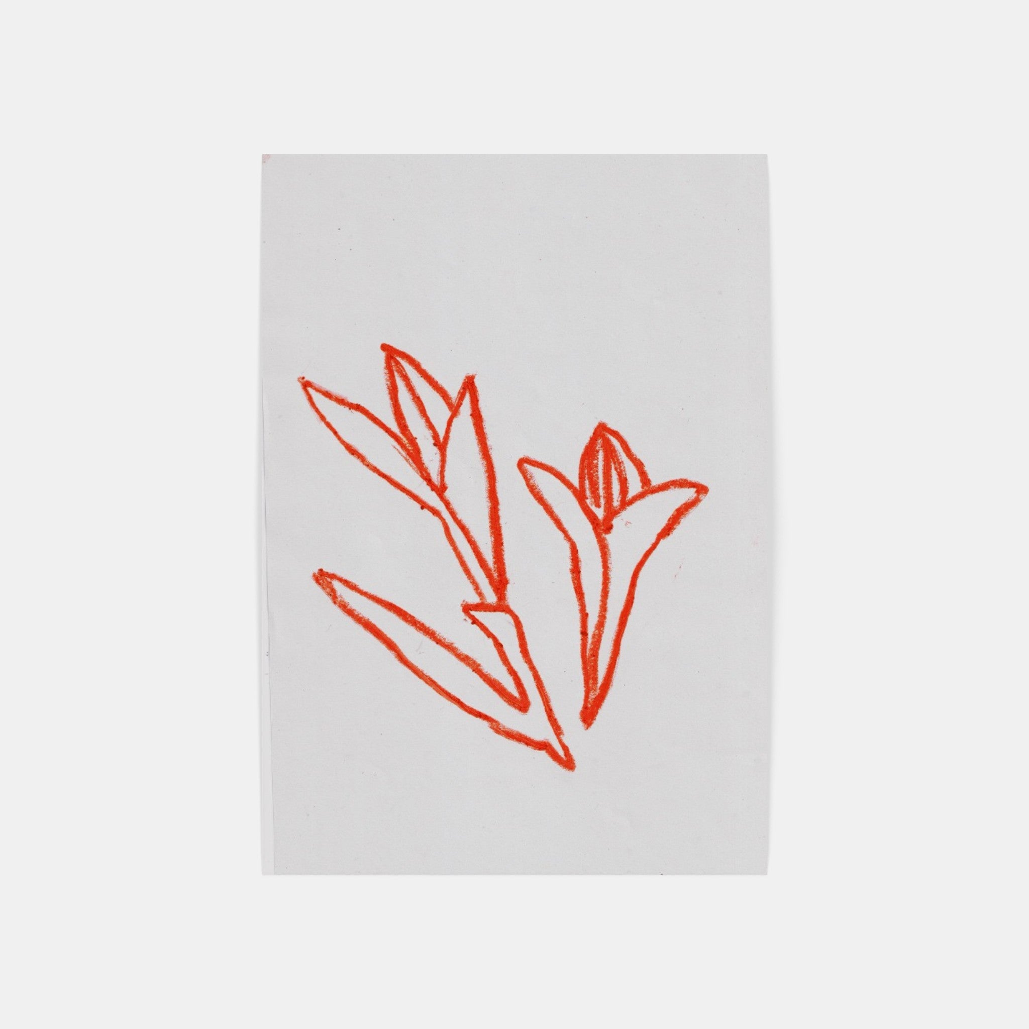 Red Flowers